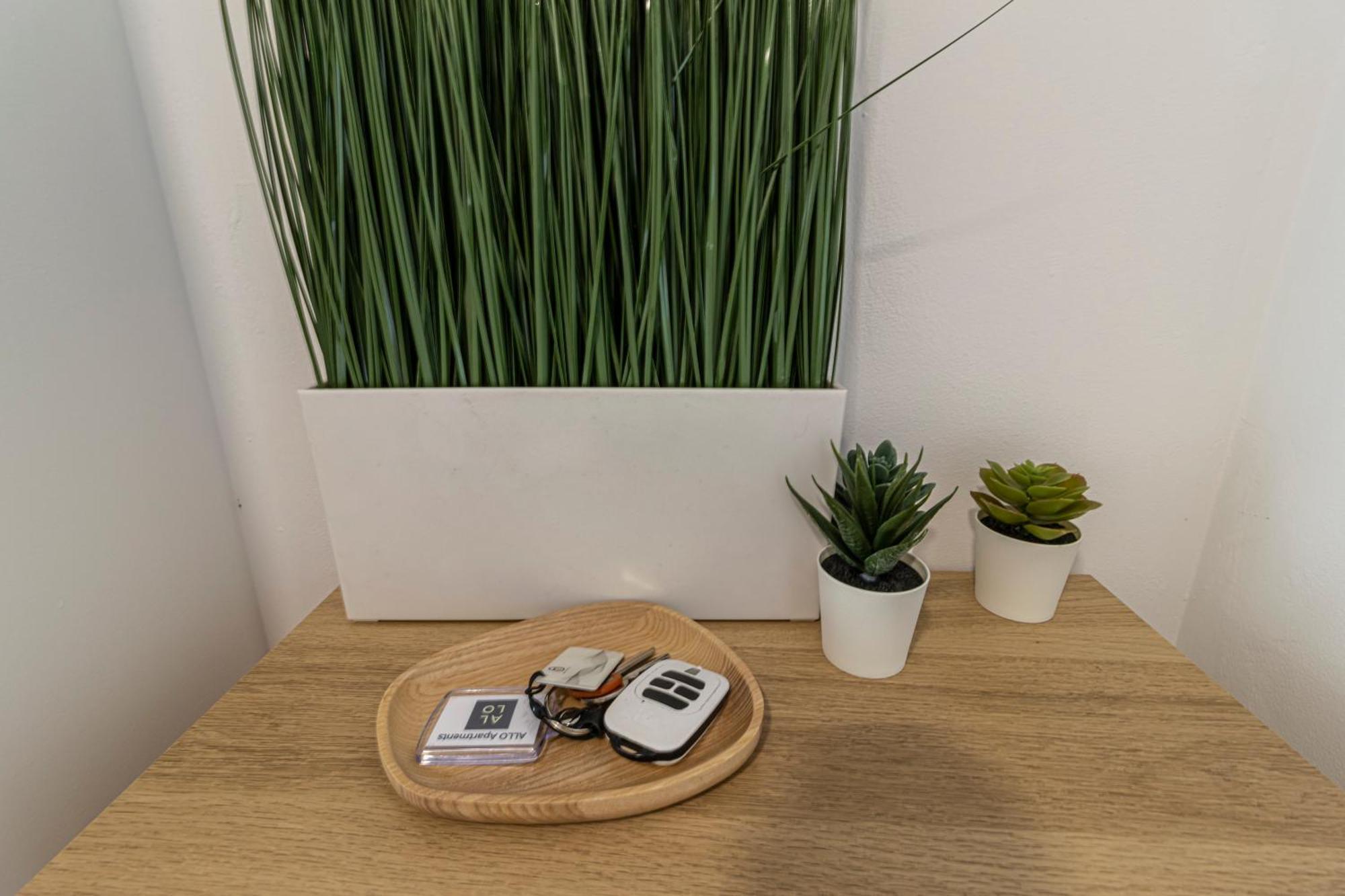 Allo Apartments Arroyo Atico Parking 1 Habitacion 赫雷斯 外观 照片